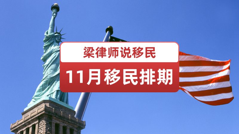 2026年11月职业移民排期出来了